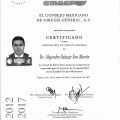 Ampliar imagen: certificate 6