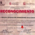 Ampliar imagen: certificate 9