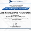 Ampliar imagen: certificate 4