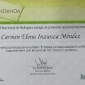 Ampliar imagen: certificate 27