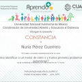 Ampliar imagen: certificate 11