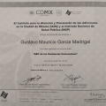 Ampliar imagen: certificate 8