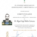Ampliar imagen: certificate 24