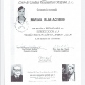 Ampliar imagen: certificate 7