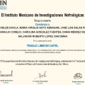 Ampliar imagen: certificate 4