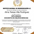 Ampliar imagen: certificate 15