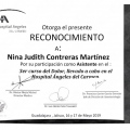 Ampliar imagen: certificate 8