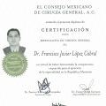 Ampliar imagen: certificate 5