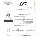 Ampliar imagen: certificate 4