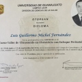 Ampliar imagen: certificate 5