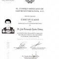 Ampliar imagen: certificate 8