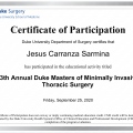 Ampliar imagen: certificate 7