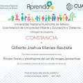 Ampliar imagen: certificate 11