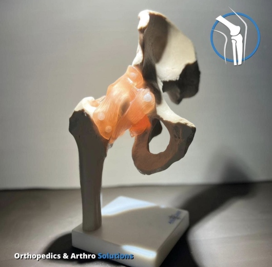 Paolo Roberto Parra Alanis-4