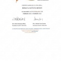 Ampliar imagen: certificate 6