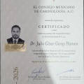 Ampliar imagen: certificate 2