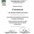 Ampliar imagen: certificate 11