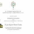 Ampliar imagen: certificate 1