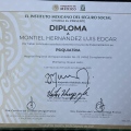Ampliar imagen: certificate 2