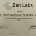 Ampliar imagen: certificate 4
