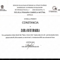 Ampliar imagen: certificate 15