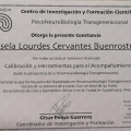 Ampliar imagen: certificate 4