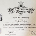 Ampliar imagen: certificate 5