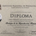 Ampliar imagen: certificate 8