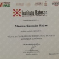 Ampliar imagen: certificate 32