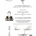 Ampliar imagen: certificate 8