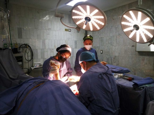 Valerio Licerio De La Cruz-14