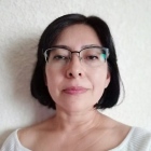 Lic. Brenda Jerusalén Romero Gómez