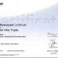 Ampliar imagen: certificate 5