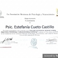 Ampliar imagen: certificate 1