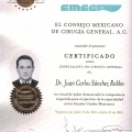 Ampliar imagen: certificate 2