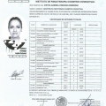 Ampliar imagen: certificate 1