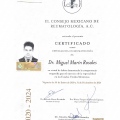 Ampliar imagen: certificate 2