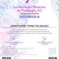 Ampliar imagen: certificate 4