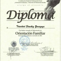 Ampliar imagen: certificate 5