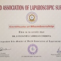 Ampliar imagen: certificate 4