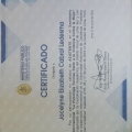 Ampliar imagen: certificate 5
