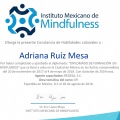 Ampliar imagen: certificate 5
