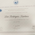 Ampliar imagen: certificate 5