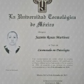 Ampliar imagen: certificate 2