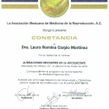 Ampliar imagen: certificate 31