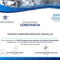 Ampliar imagen: certificate 5
