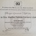 Ampliar imagen: certificate 7