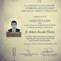Ampliar imagen: certificate 1