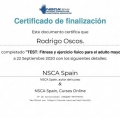 Ampliar imagen: certificate 12