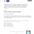 Ampliar imagen: certificate 27